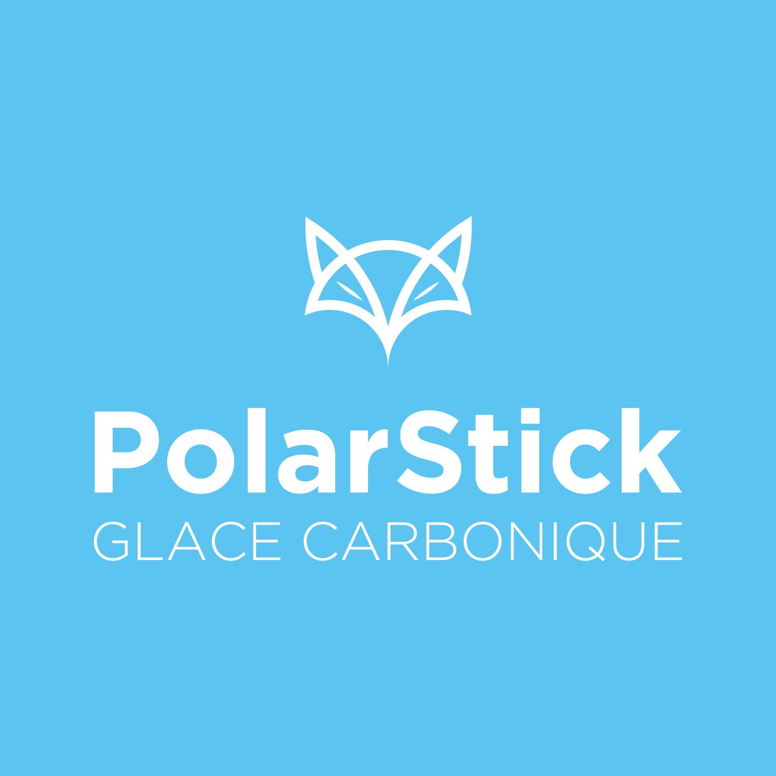 logo polarstick glace carbonique