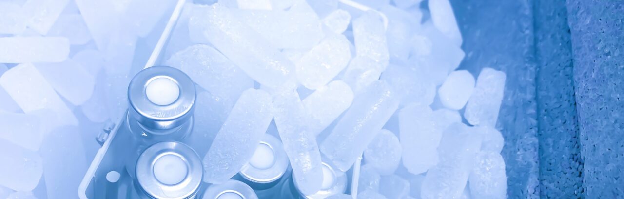 Stick de glace carbonique refroidissant médicaments