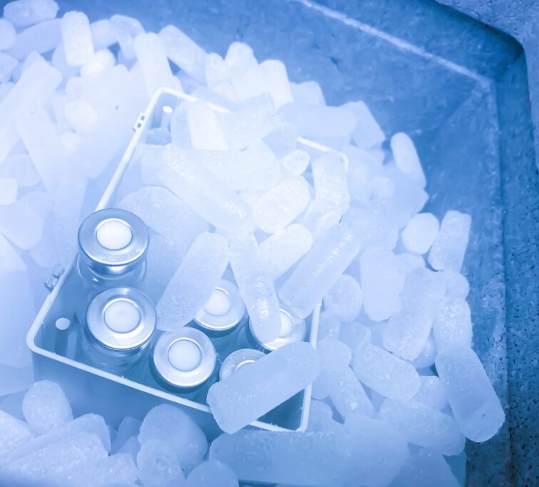 Stick de glace carbonique refroidissant médicaments